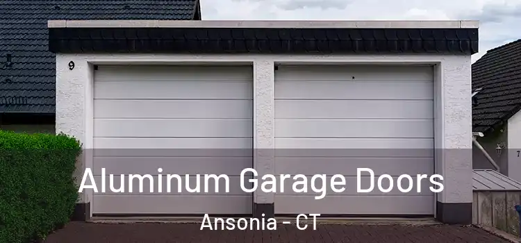  Aluminum Garage Doors Ansonia - CT