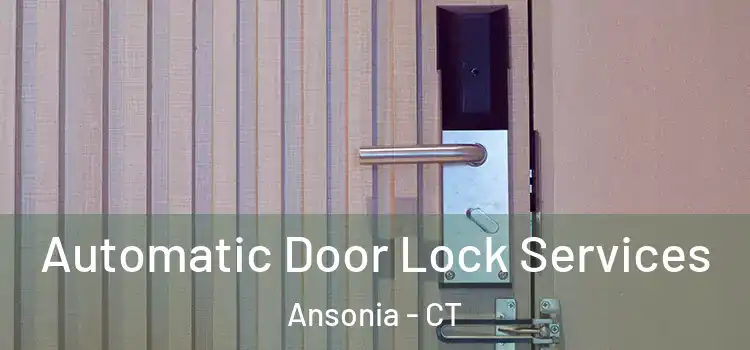  Automatic Door Lock Services Ansonia - CT