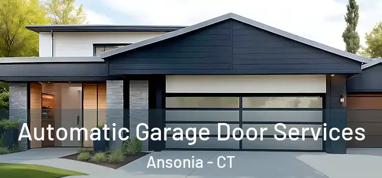  Automatic Garage Door Services Ansonia - CT