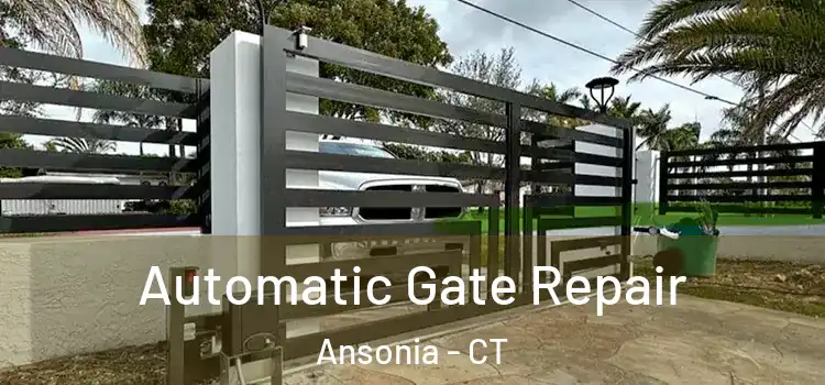  Automatic Gate Repair Ansonia - CT