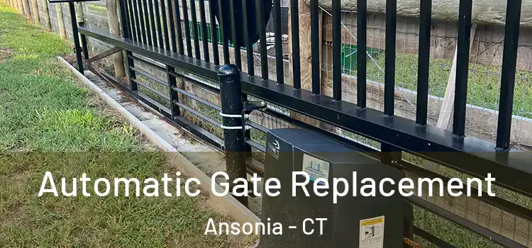  Automatic Gate Replacement Ansonia - CT