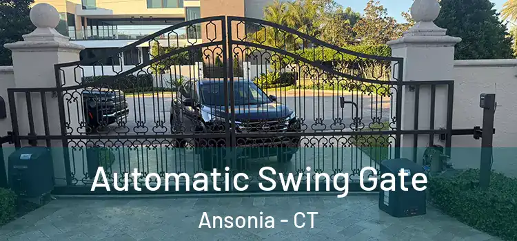  Automatic Swing Gate Ansonia - CT