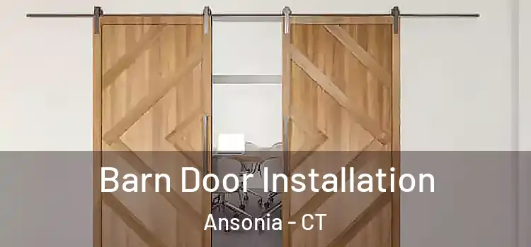  Barn Door Installation Ansonia - CT