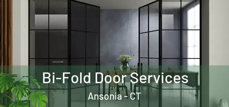Bi-Fold Door Services Ansonia - CT