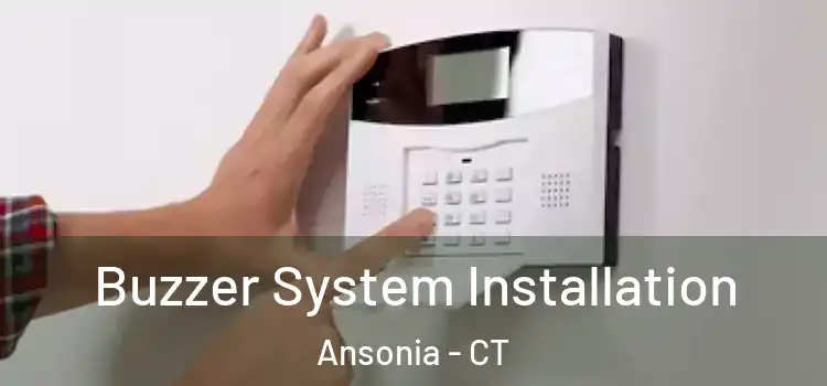  Buzzer System Installation Ansonia - CT