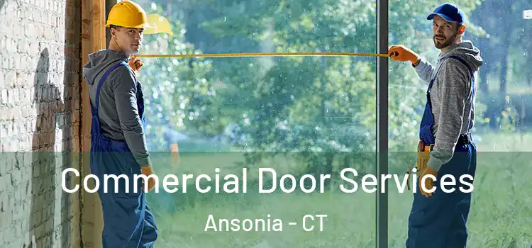  Commercial Door Services Ansonia - CT