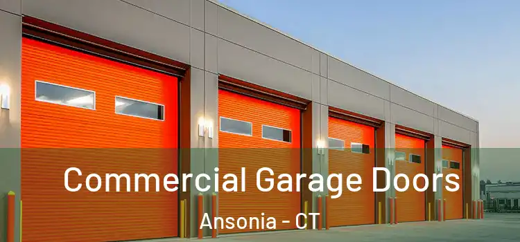  Commercial Garage Doors Ansonia - CT