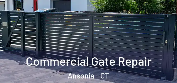  Commercial Gate Repair Ansonia - CT