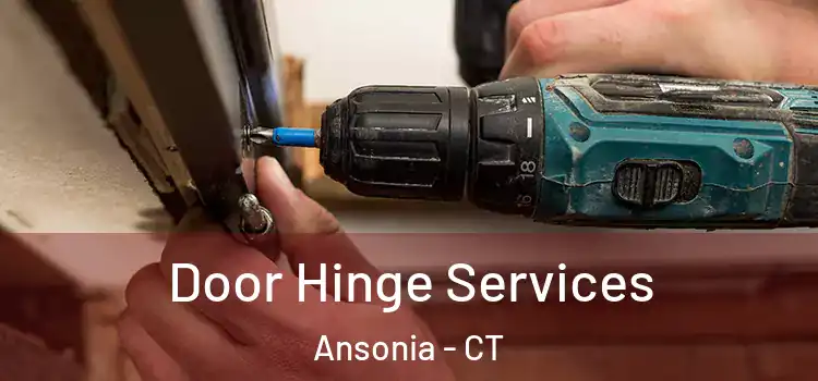  Door Hinge Services Ansonia - CT