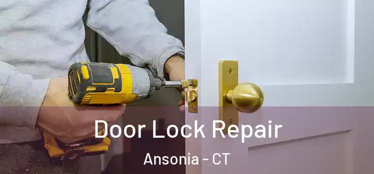  Door Lock Repair Ansonia - CT