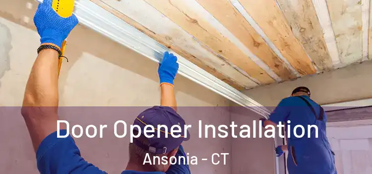 Door Opener Installation Ansonia - CT