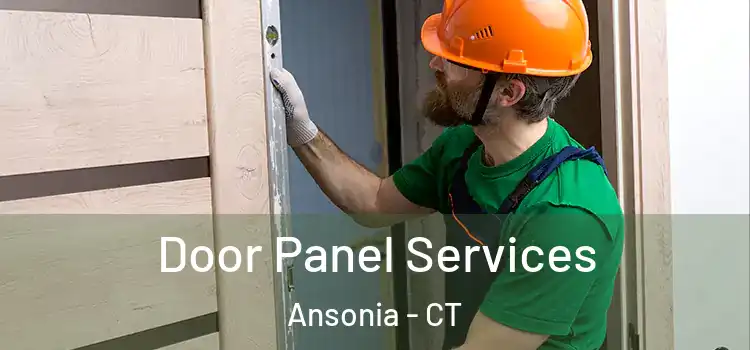  Door Panel Services Ansonia - CT