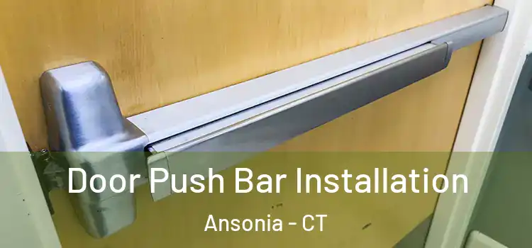  Door Push Bar Installation Ansonia - CT
