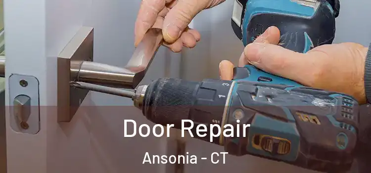  Door Repair Ansonia - CT