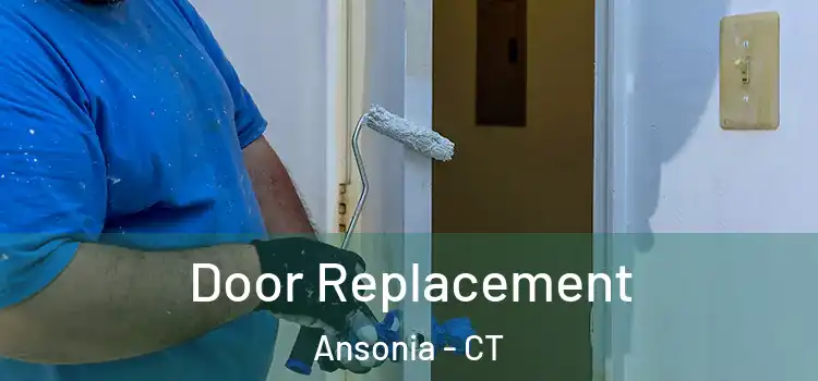  Door Replacement Ansonia - CT