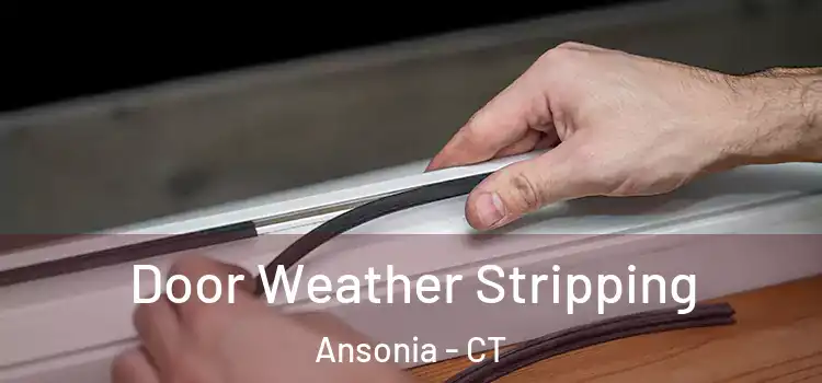  Door Weather Stripping Ansonia - CT