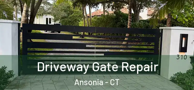  Driveway Gate Repair Ansonia - CT