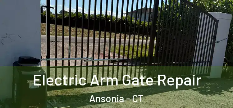  Electric Arm Gate Repair Ansonia - CT