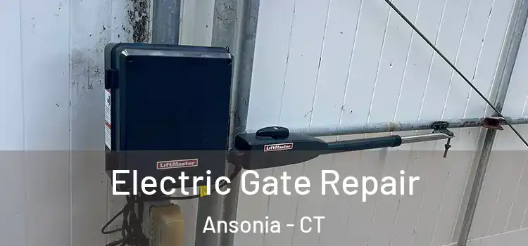  Electric Gate Repair Ansonia - CT