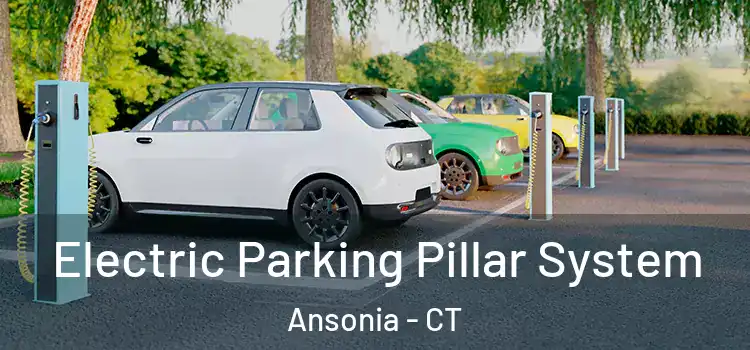 Electric Parking Pillar System Ansonia - CT