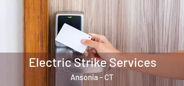 Electric Strike Services Ansonia - CT