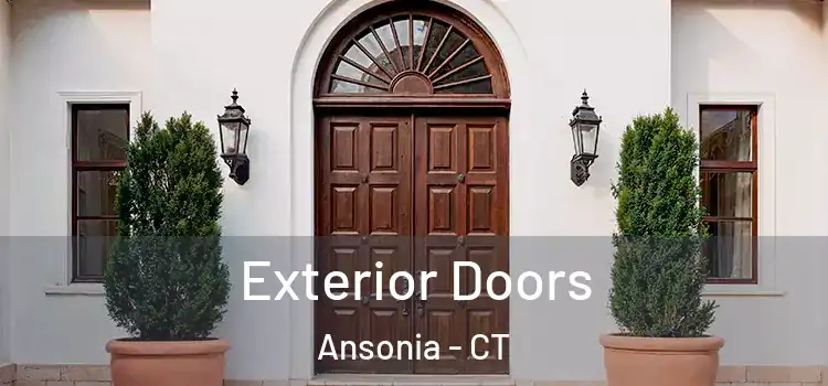  Exterior Doors Ansonia - CT