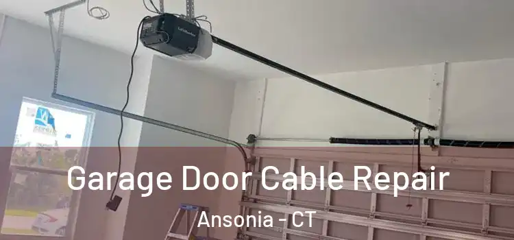  Garage Door Cable Repair Ansonia - CT