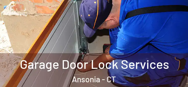 Garage Door Lock Services Ansonia - CT