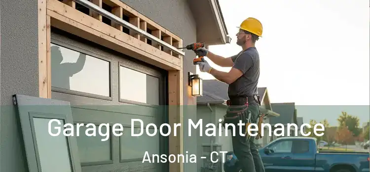  Garage Door Maintenance Ansonia - CT