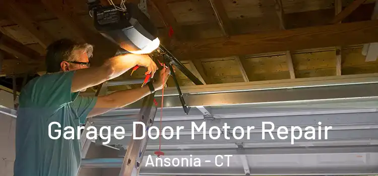  Garage Door Motor Repair Ansonia - CT