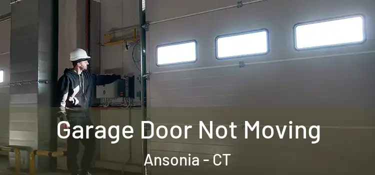  Garage Door Not Moving Ansonia - CT
