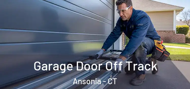  Garage Door Off Track Ansonia - CT