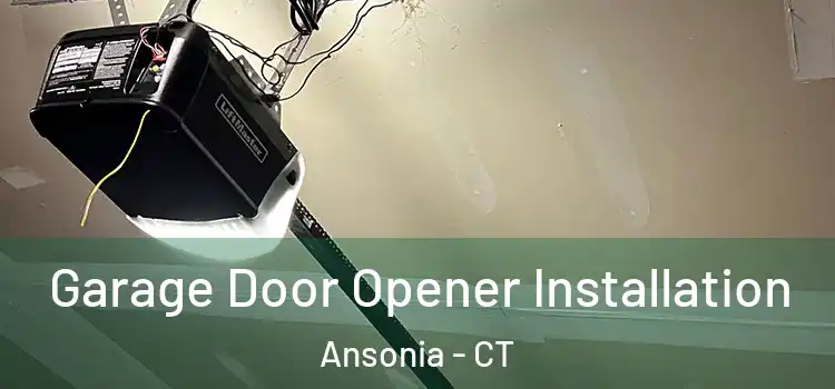  Garage Door Opener Installation Ansonia - CT