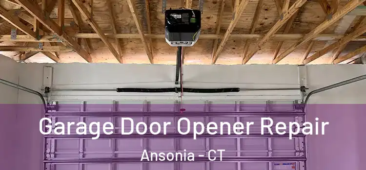  Garage Door Opener Repair Ansonia - CT