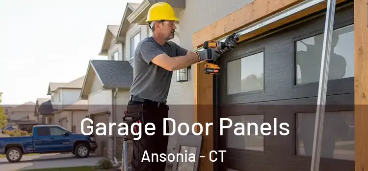  Garage Door Panels Ansonia - CT