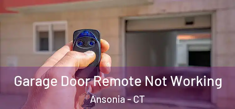  Garage Door Remote Not Working Ansonia - CT