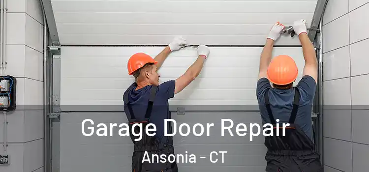  Garage Door Repair Ansonia - CT