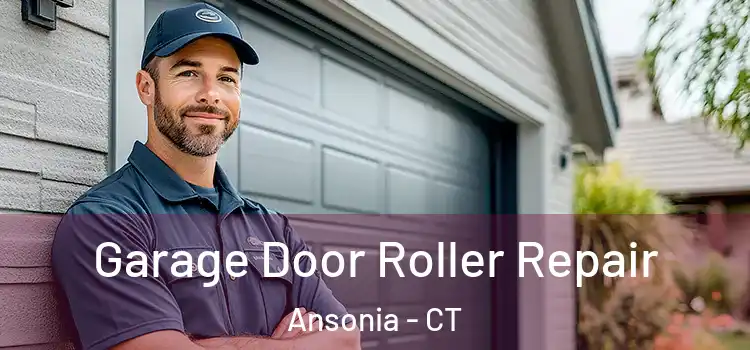  Garage Door Roller Repair Ansonia - CT