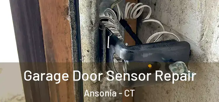  Garage Door Sensor Repair Ansonia - CT