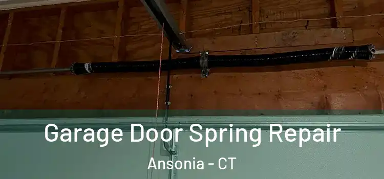  Garage Door Spring Repair Ansonia - CT