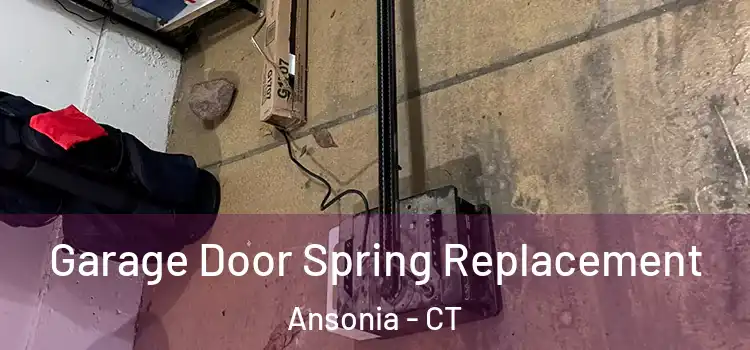  Garage Door Spring Replacement Ansonia - CT