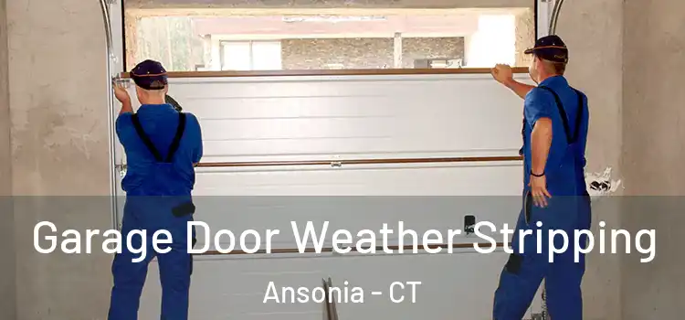  Garage Door Weather Stripping Ansonia - CT