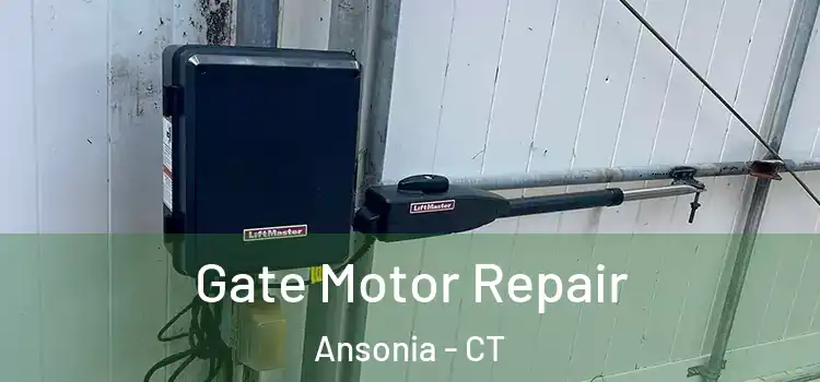  Gate Motor Repair Ansonia - CT