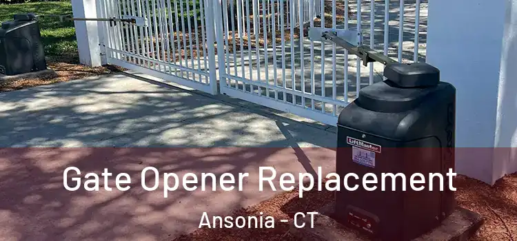  Gate Opener Replacement Ansonia - CT