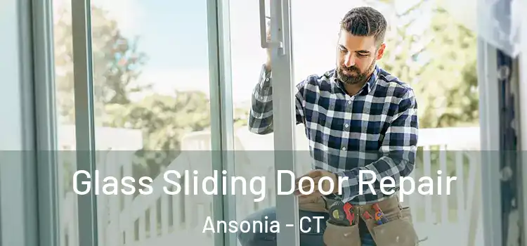  Glass Sliding Door Repair Ansonia - CT