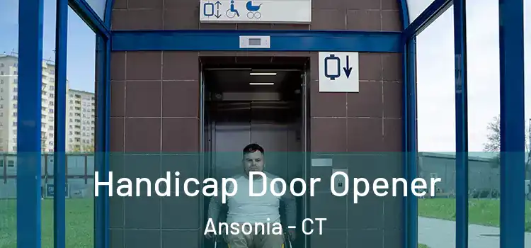  Handicap Door Opener Ansonia - CT