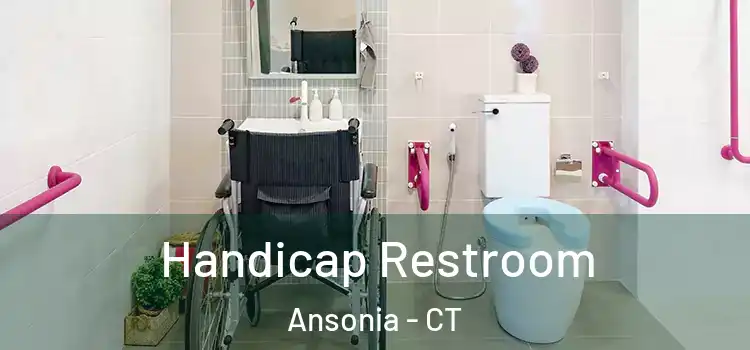Handicap Restroom Ansonia - CT