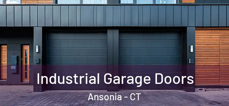  Industrial Garage Doors Ansonia - CT