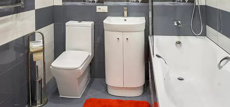Hansgrohe Shaving Mirror Ansonia