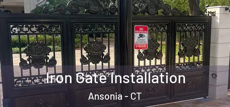  Iron Gate Installation Ansonia - CT